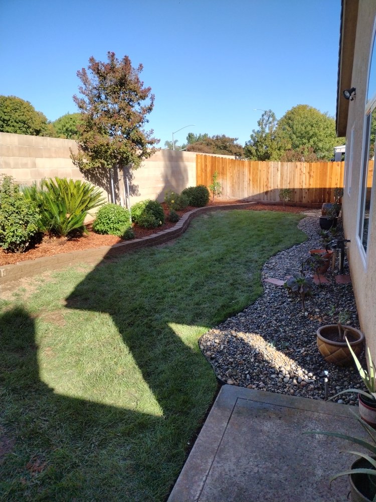 Customer side yard with a curved lawn, planted borders and wood fencing in the Fresno area