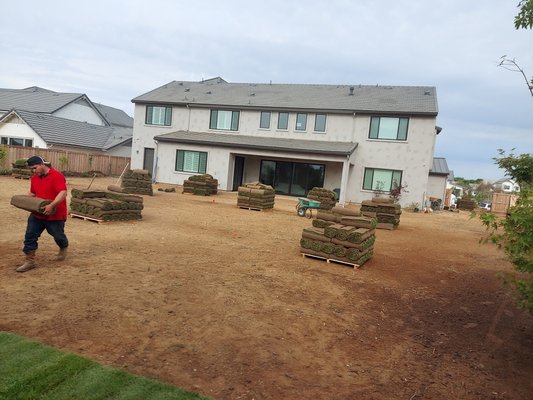 Sod rolls staged in a customer's yard during lawn installation