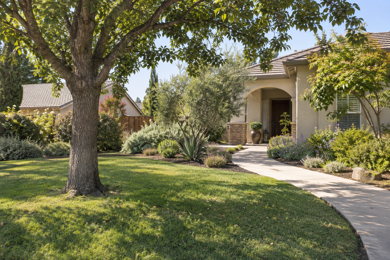 Established Fresno front garden with a mature shade tree, lawn and layered planting