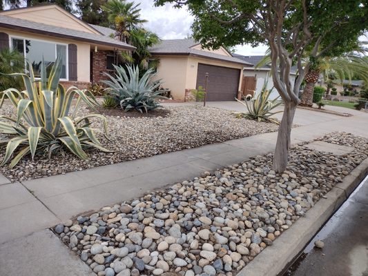 Water-wise front yard with agave plants, river stone and a tidy sidewalk