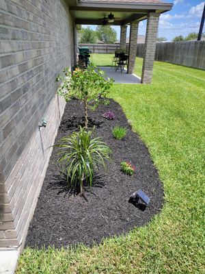 New plants and mulch along a customer home's wall