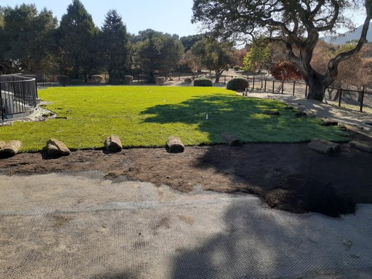 New green lawn across a customer's broad outdoor space